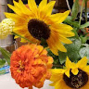 Meet your Posher, Jessie